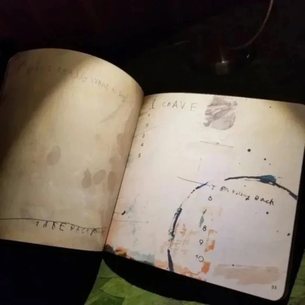 Creative Journal - The True and the Questions